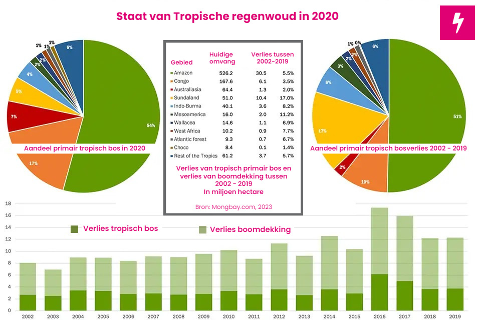 Verlies tropisch regenwoud in 2020