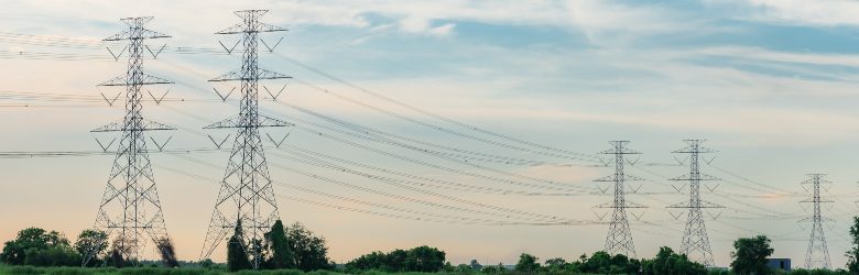 Groei van het Nederlandse stroomnet door netbeheerders en investeringsplannen