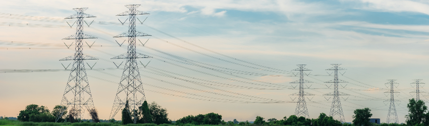 Groei van het Nederlandse stroomnet door netbeheerders en investeringsplannen