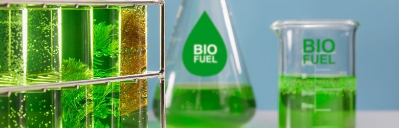 biobrandstoffen