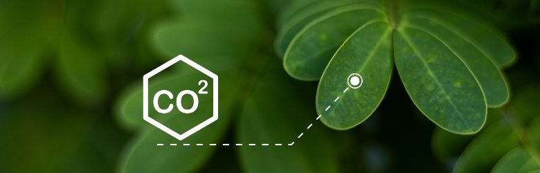 Invloed van CO² op voeding