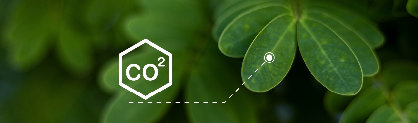 Invloed van CO2 op voedsel