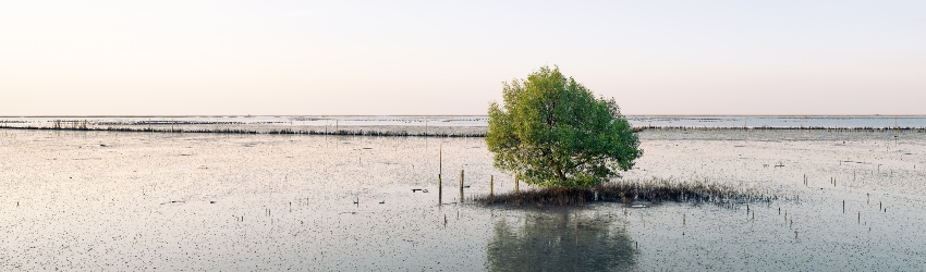 Klimaatdoelen verder uit zicht